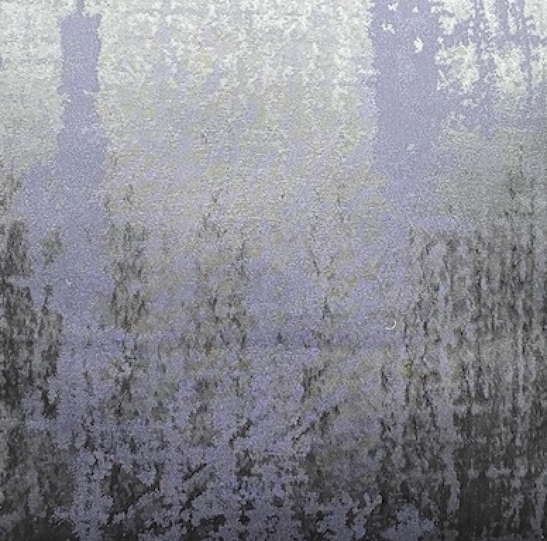 Nocturne - V9A8674
